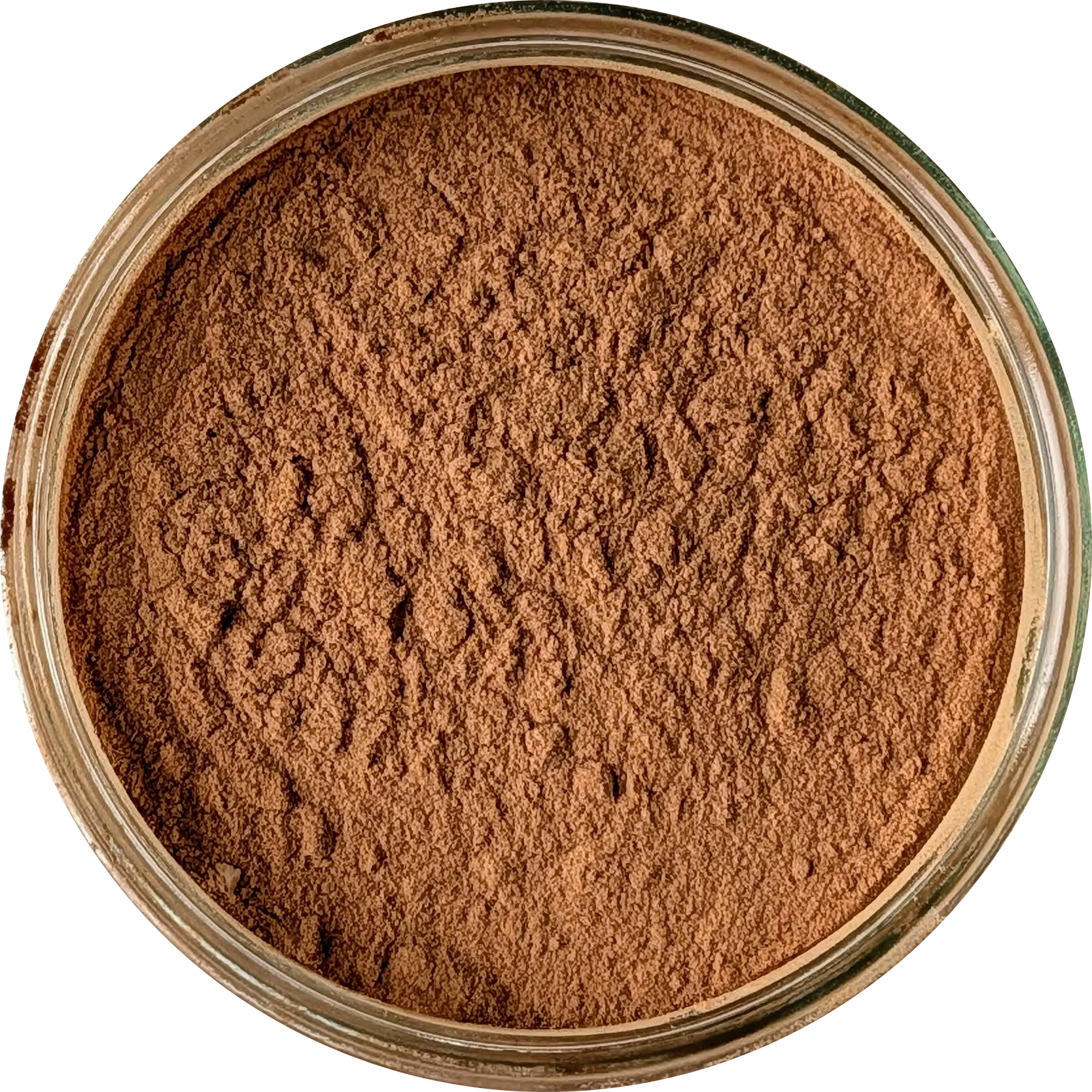 Bulbine natalensis 20:1 extract powder — fine light brown botanical powder suitable for human consumption and natural supplementation Herbal Monkey