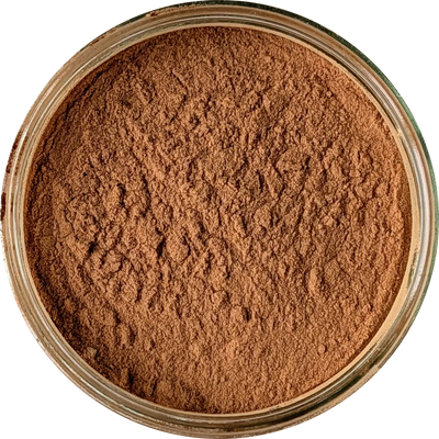 Bulbine natalensis 20:1 extract powder — fine light brown botanical powder suitable for human consumption and natural supplementation