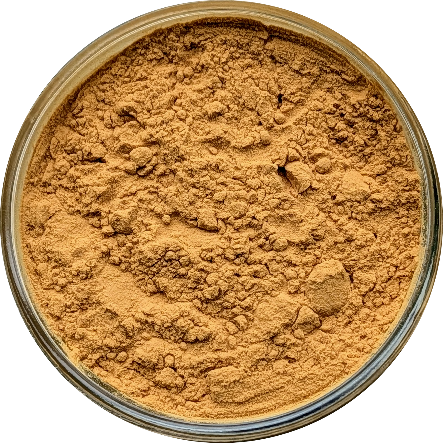 Eurycoma longifolia 20:1 — concentrated root extract with smooth, earthy‑tan powder texture. Herbal Monkey