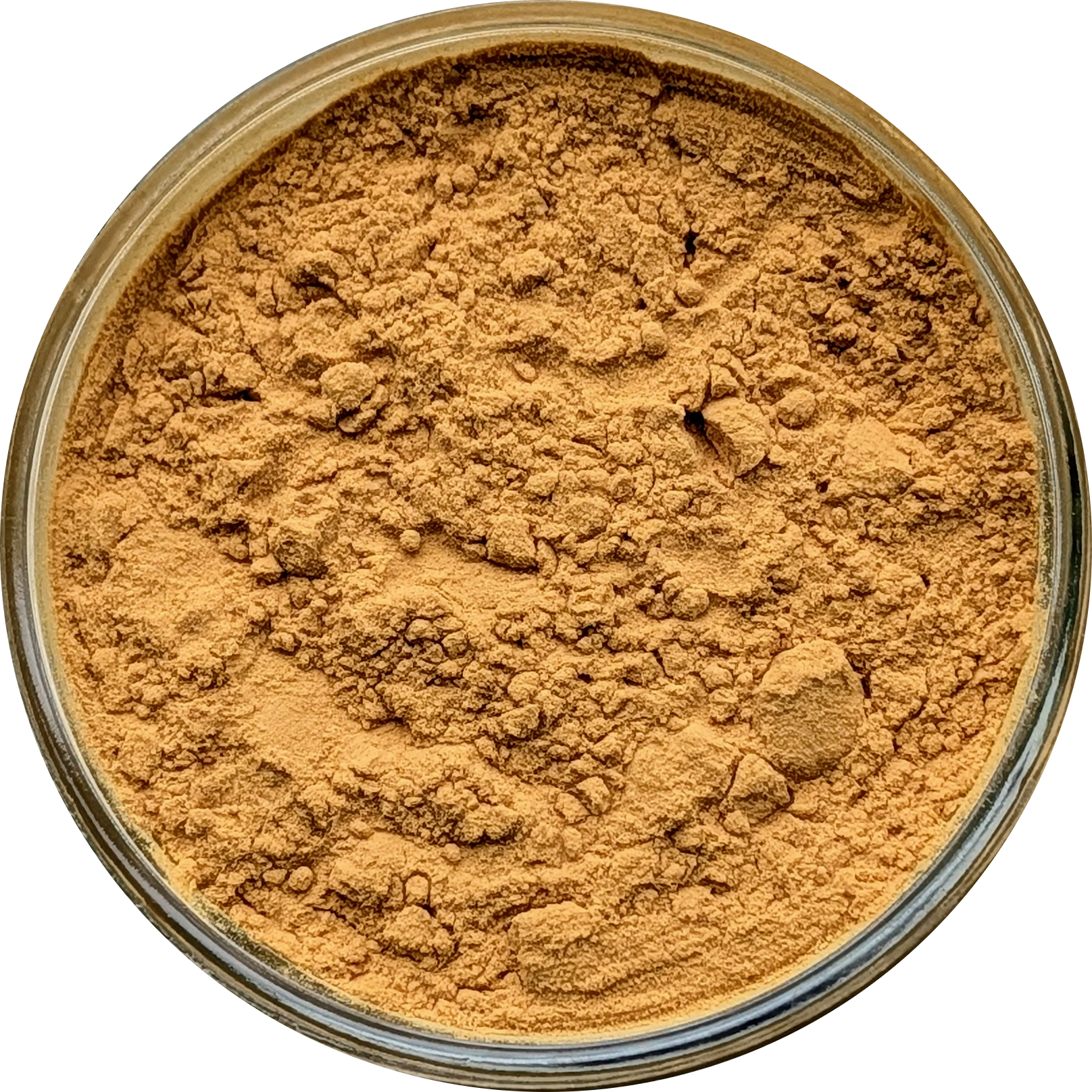 Eurycoma longifolia 20:1 — concentrated root extract with smooth, earthy‑tan powder texture. Herbal Monkey