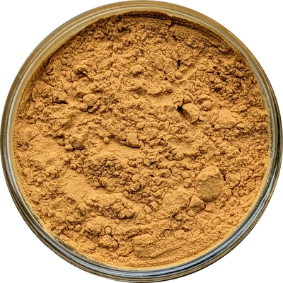 Eurycoma longifolia 20:1 — concentrated root extract with smooth, earthy‑tan powder texture.