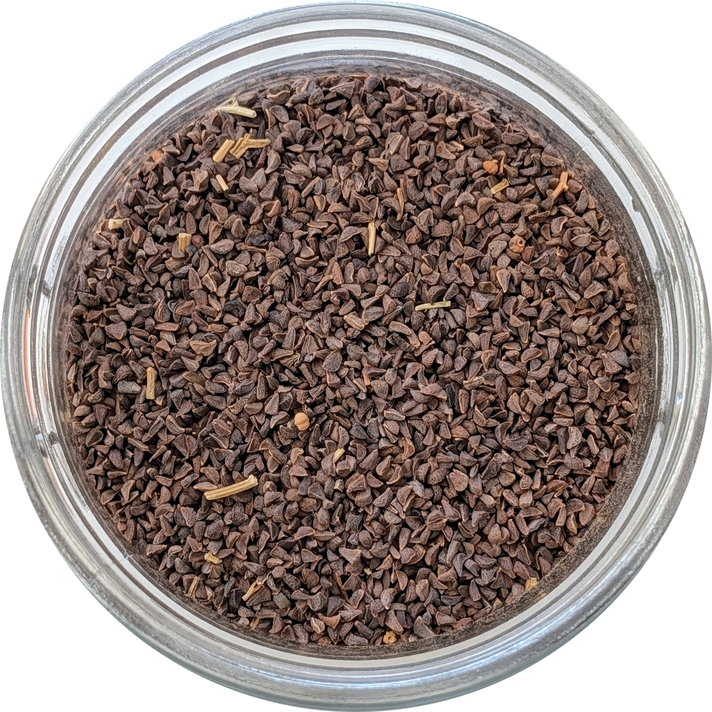 Syrian Rue Seeds A++ Fresh Flower Seeds | Peganum harmala | Natural Untreated - Herbal Monkey Herbal Monkey