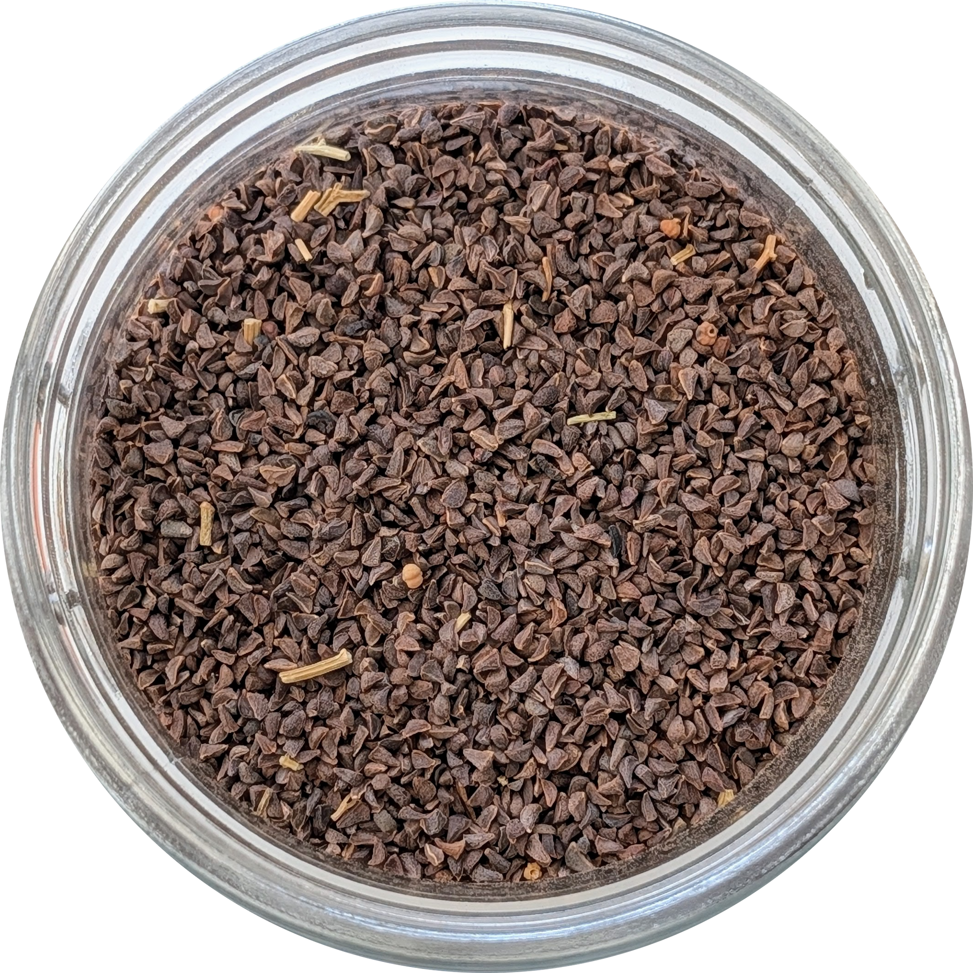 Syrian Rue Seeds A++ Fresh Flower Seeds | Peganum harmala | Natural Untreated - Herbal Monkey Herbal Monkey