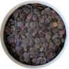 Natural untreated Yopo seeds displayed on a neutral background Herbal Monkey