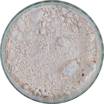 High‑purity Epicatechin supplement powder