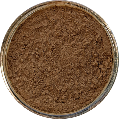 Organic Reishi mushroom extract – 15:1 ratio, high-potency dual extract powder