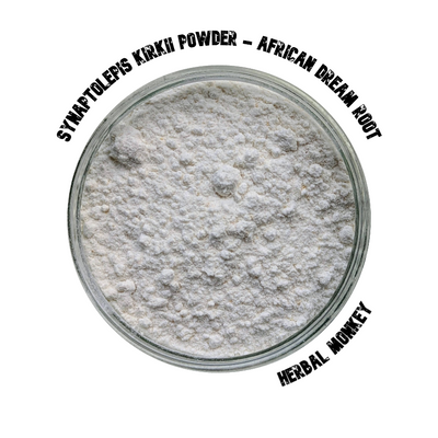 Synaptolepis kirkii Powder – finely milled African dream root, ethically sourced for ceremonial display and ritual use