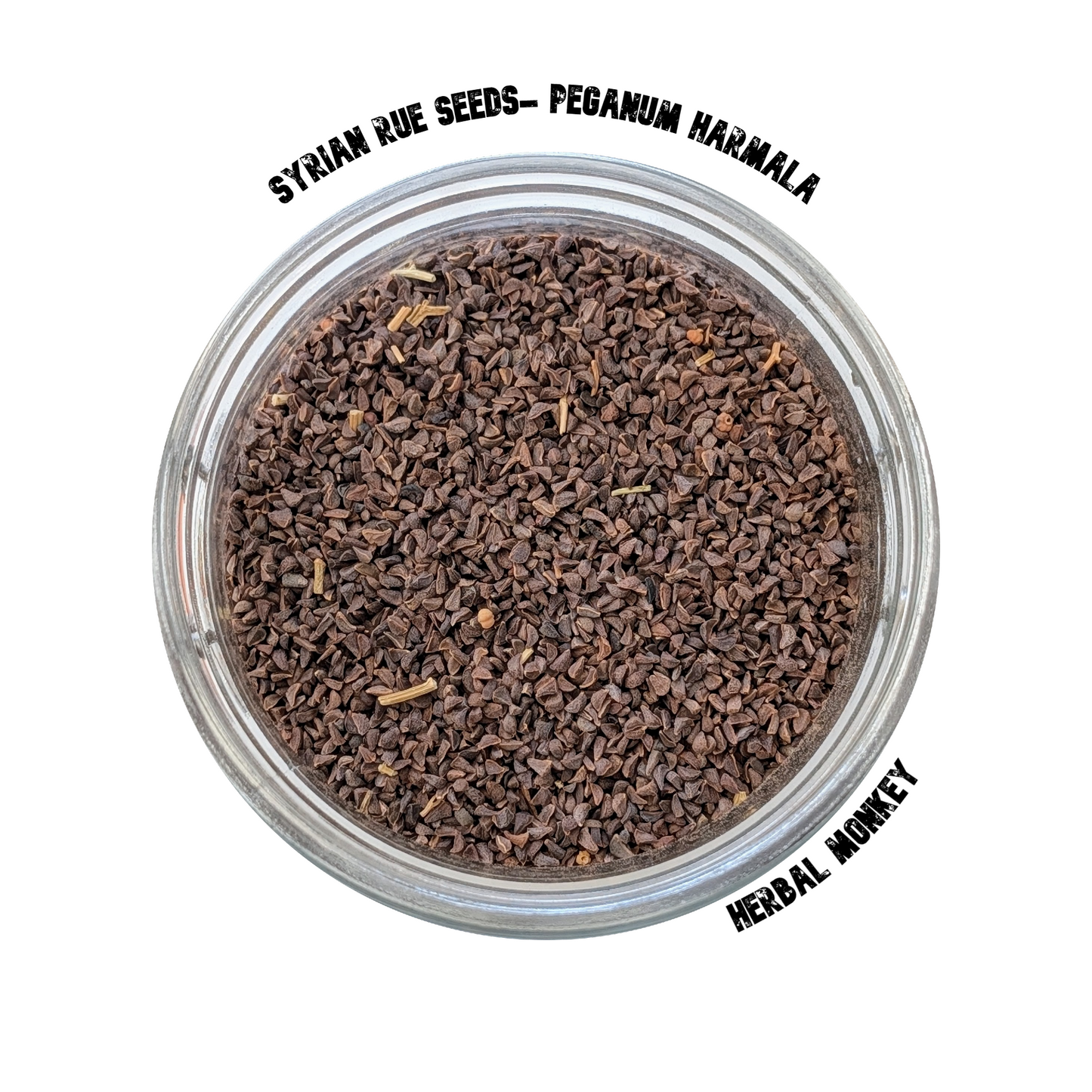Syrian Rue Seeds A++ Fresh Flower Seeds | Peganum harmala | Natural Untreated - Herbal Monkey Herbal Monkey