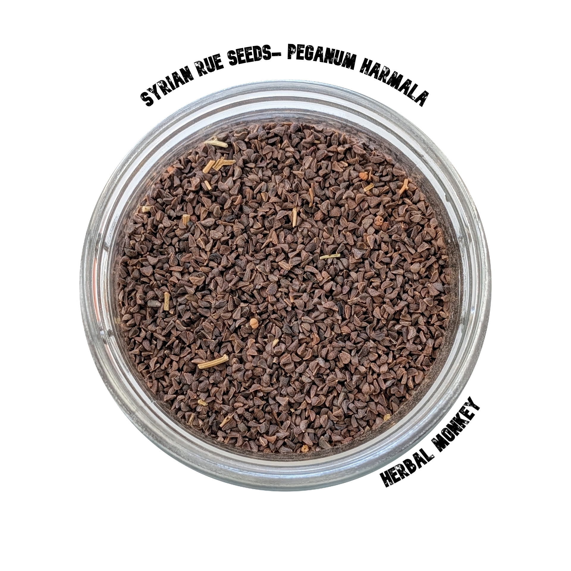Syrian Rue Seeds A++ Fresh Flower Seeds | Peganum harmala | Natural Untreated - Herbal Monkey Herbal Monkey