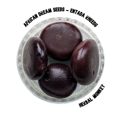 African Dream Seeds – whole Entada rheedii seeds, naturally dried and pesticide-free, for collectors and ritual display
