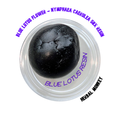 Dark amber Blue Lotus resin 50X extract – concentrated botanical solid from Nymphaea caerulea, ideal for incense, meditation, or collection