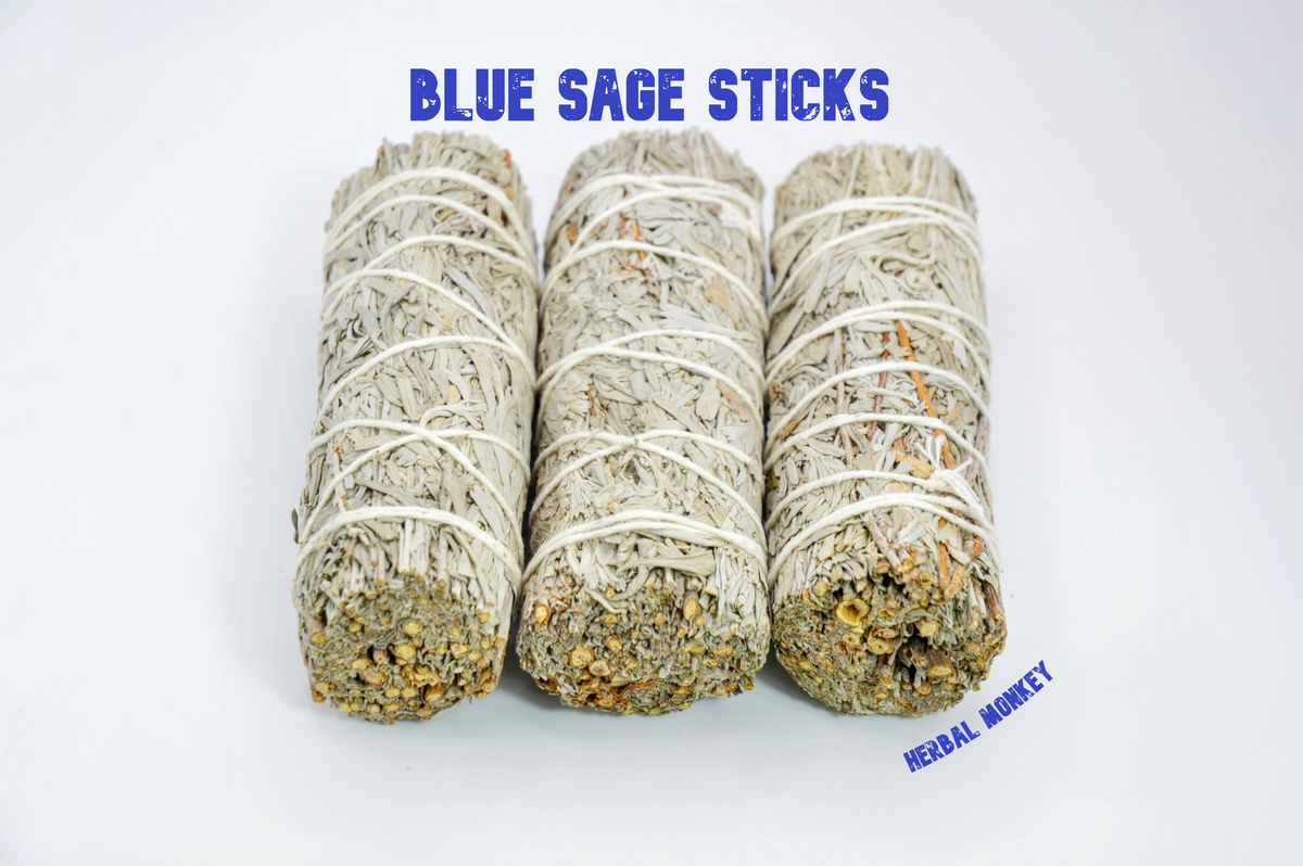 Natural Blue Sage smudge stick hand tied with cotton string for incense and aromatic use. Herbal Monkey