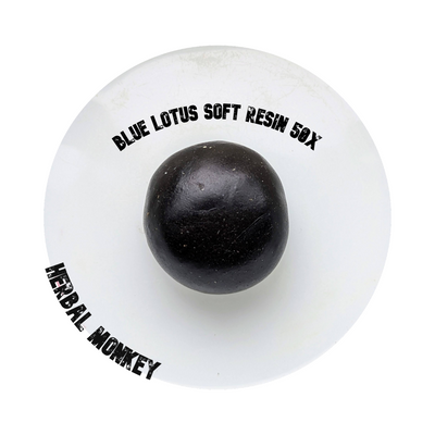 Dark amber Blue Lotus resin 50X extract – concentrated botanical solid from Nymphaea caerulea, ideal for incense, meditation, or collection