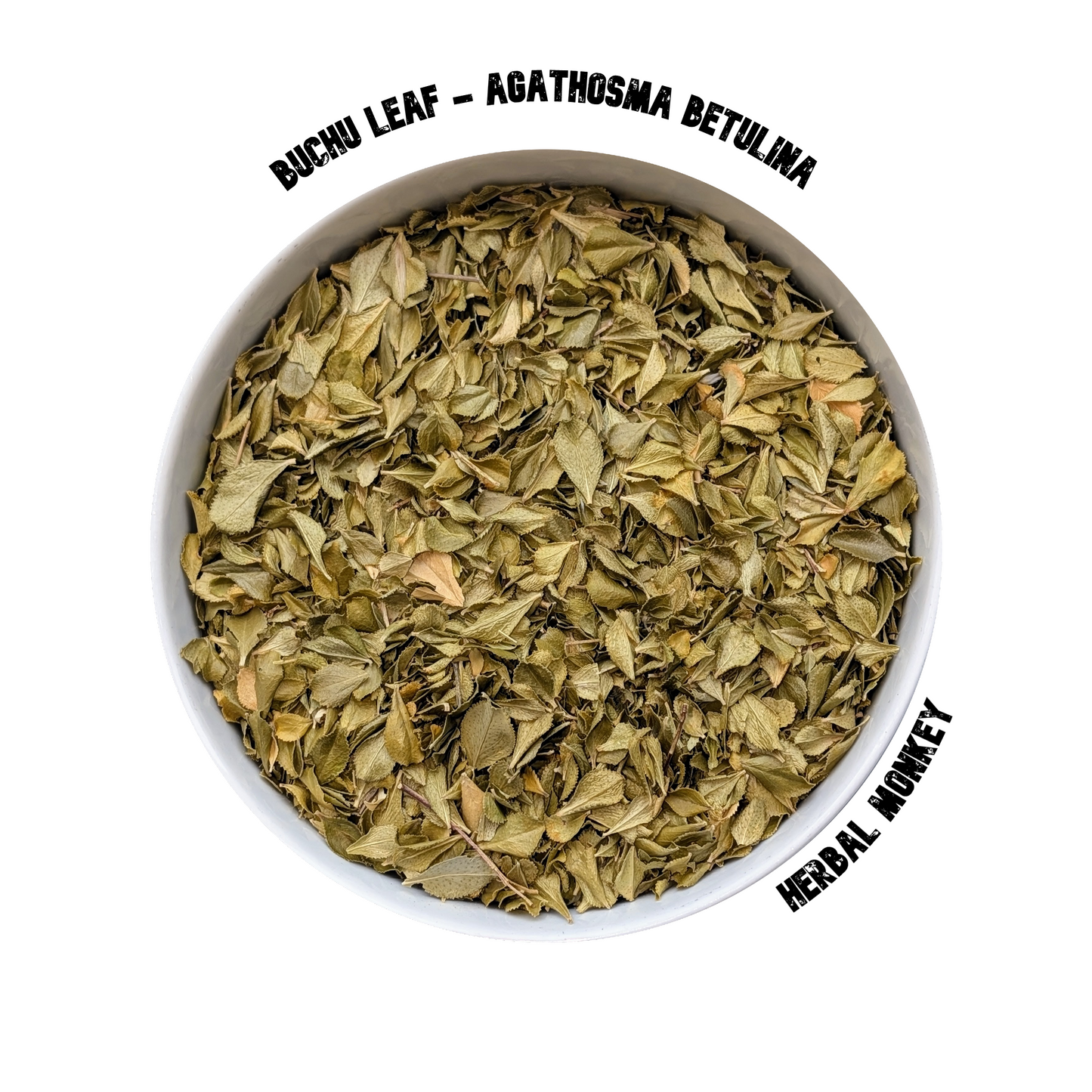 Buchu dried leaves – premium botanical suitable for herbal tea