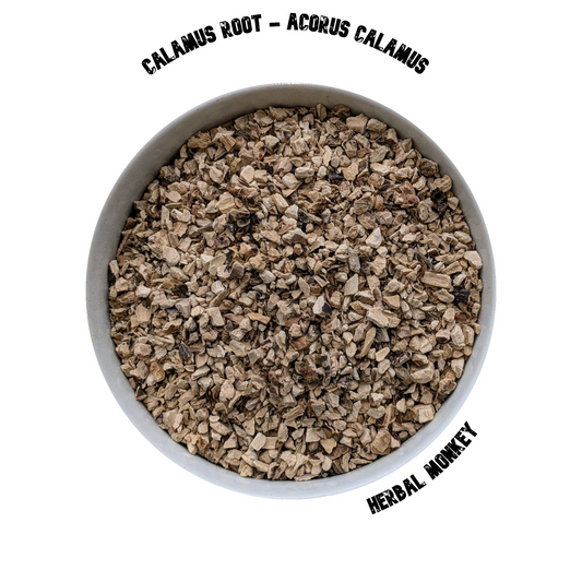 Calamus Root | Acorus Calamus | Organic Calamus Root | Sweet Flag