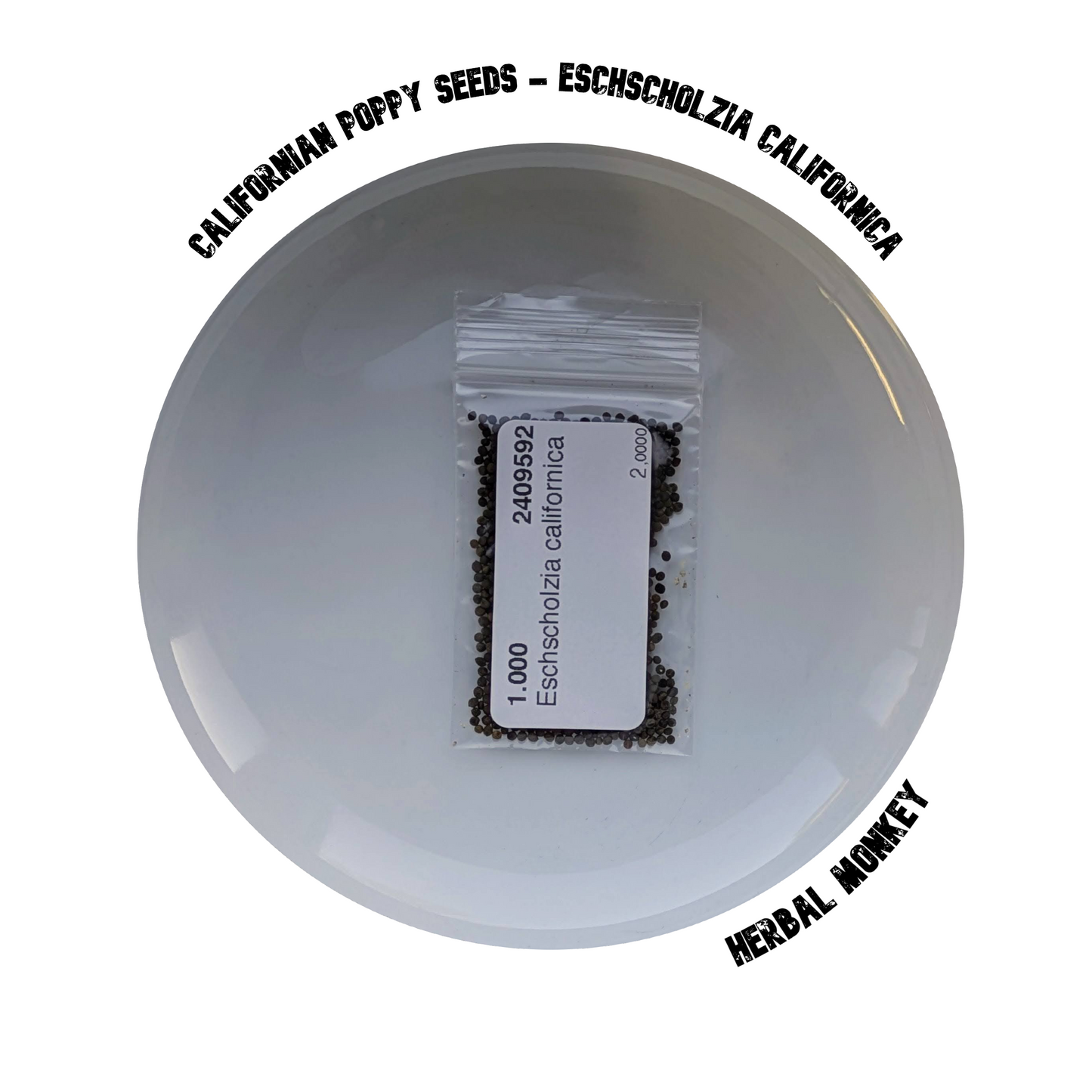 Californian Poppy Seeds | Eschscholzia Californica | Californian Poppy