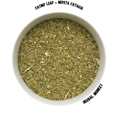 Catnip Herb | Nepeta Cataria | Organic Catnip | Catnip Tea