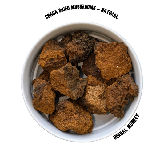 chaga mushrooms