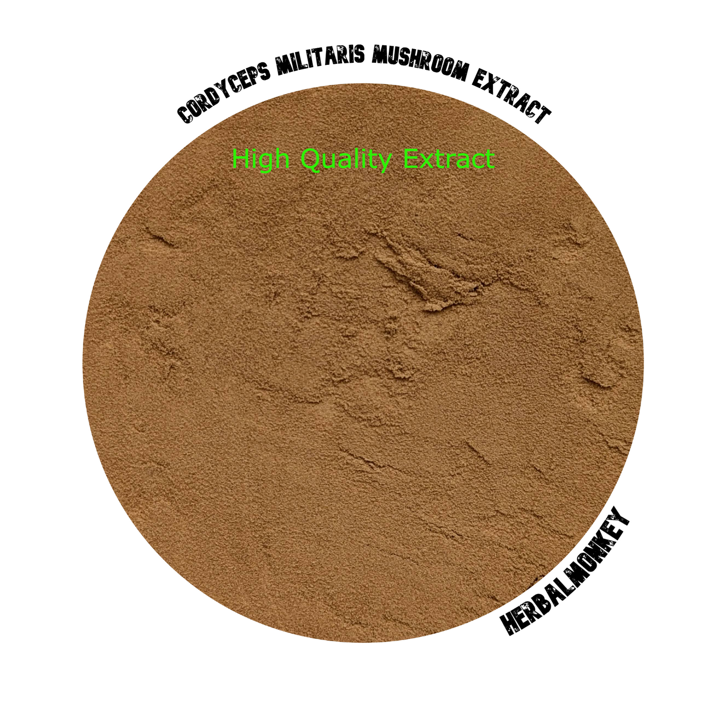 Cordyceps Militaris Dried Mushroom Extract  | High Quality Cordycep Mushroom Extract