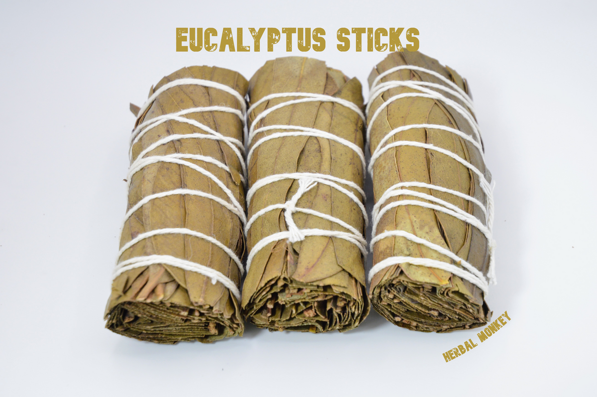 Close-up of three hand-tied Eucalyptus smudge sticks on a white background