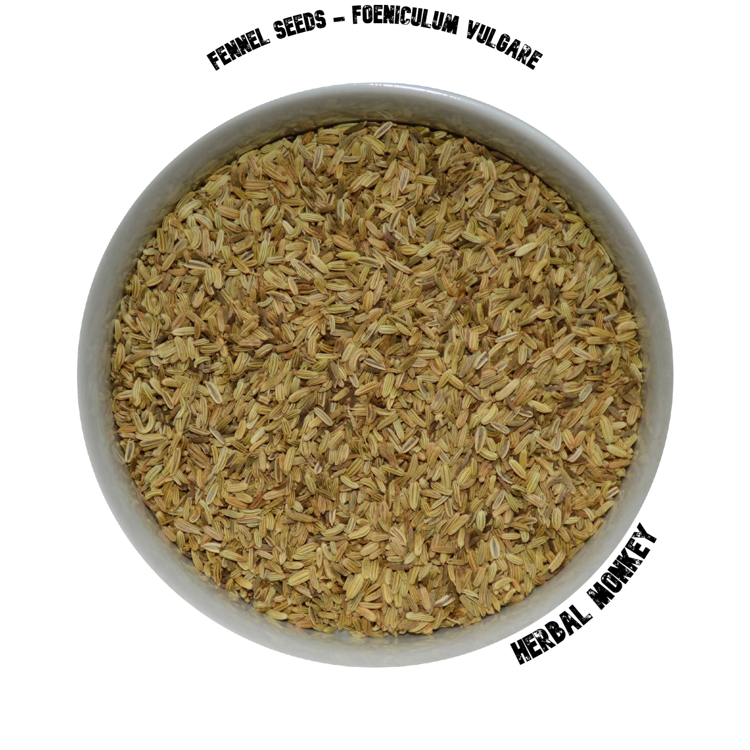 Fennel Seeds | Foeniculum Vulgare | Organic Fennel Seeds | Organic Fennel Tea