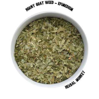 horny goat weed