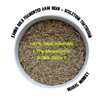 Raw fermented Kanna herb – golden South African botanical with high mesembrine content
