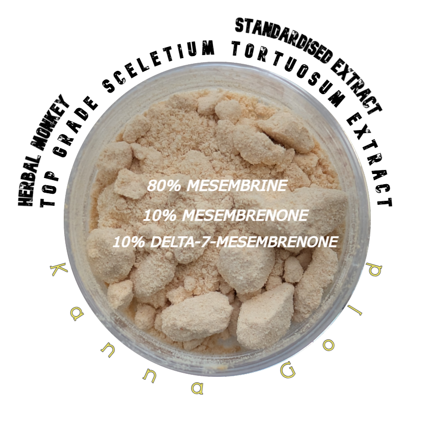 Fine Kanna extract powder – concentrated botanical from Sceletium tortuosum, ideal for incense, meditation, or ethnobotanical collection.