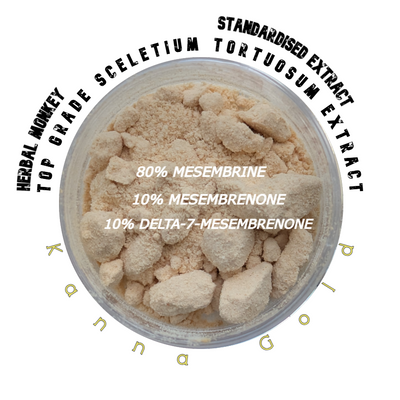 Fine Kanna extract powder – concentrated botanical from Sceletium tortuosum, ideal for incense, meditation, or ethnobotanical collection.