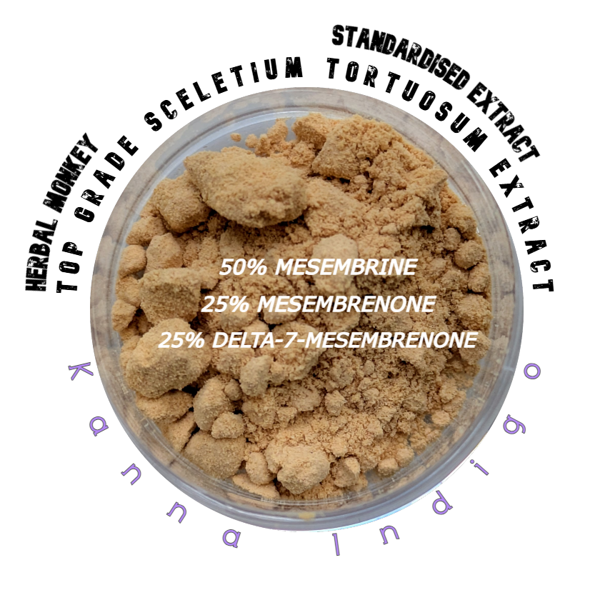 Fine Kanna extract powder – concentrated botanical from Sceletium tortuosum, ideal for incense, meditation, or ethnobotanical collection.
