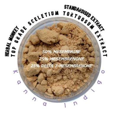 Fine Kanna extract powder – concentrated botanical from Sceletium tortuosum, ideal for incense, meditation, or ethnobotanical collection.