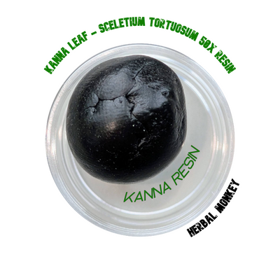 Golden-brown Kanna resin 50X extract – concentrated botanical solid from Sceletium tortuosum, ideal for incense, meditation, or collection