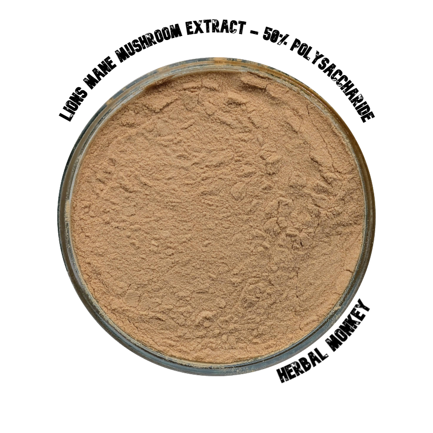 Lion’s Mane mushroom extract 50% polysaccharides – natural botanical suitable for consumption