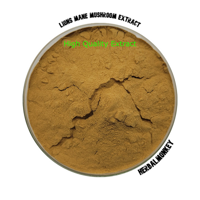 Lions Mane Dried Mushroom Extract  | Lions Mane Extract Powder