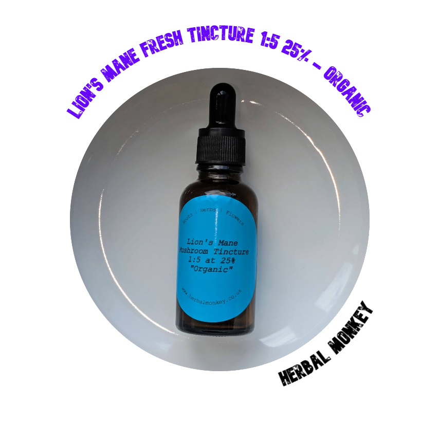 Organic Lion’s Mane Fresh Tincture 1:5@25% – Hericium erinaceus extract for brain and nerve support