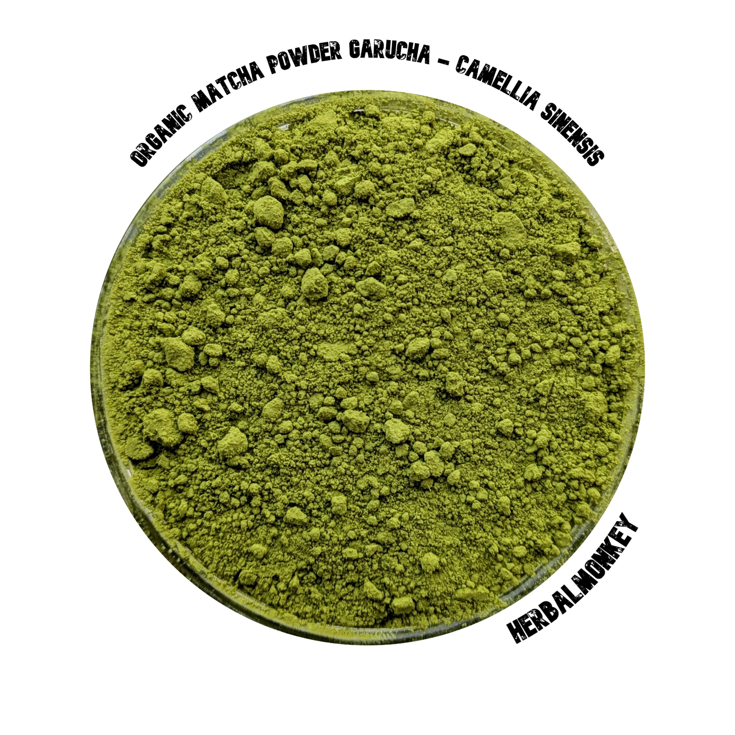 Matcha Powder Garucha | Camellia Sinensis | Organic Matcha