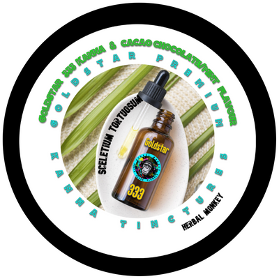 Green glass tincture bottle of Kanna Goldstar 333 Mint Choc dual‑extracted glycohol tincture with cacao and peppermint infusion