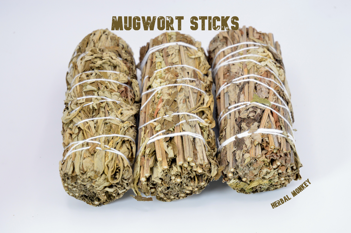 Three Mugwort smudge sticks (Artemisia vulgaris) hand tied with white cotton string on a white background