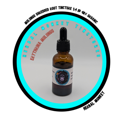 Amber bottle of Mulungu Shredded Root Tincture 1:4 @ 40%, Erythrina mulungu, displayed with dried root material