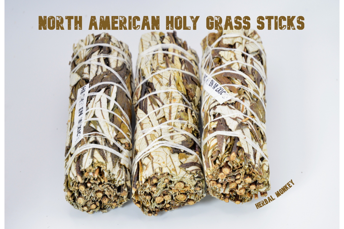 Three North American Holy Grass (sweetgrass) smudge sticks hand tied with white cotton string