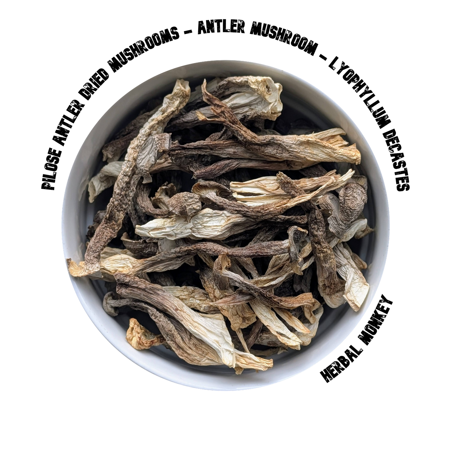 Antler Pilose dried mushrooms – premium botanical suitable for consumption