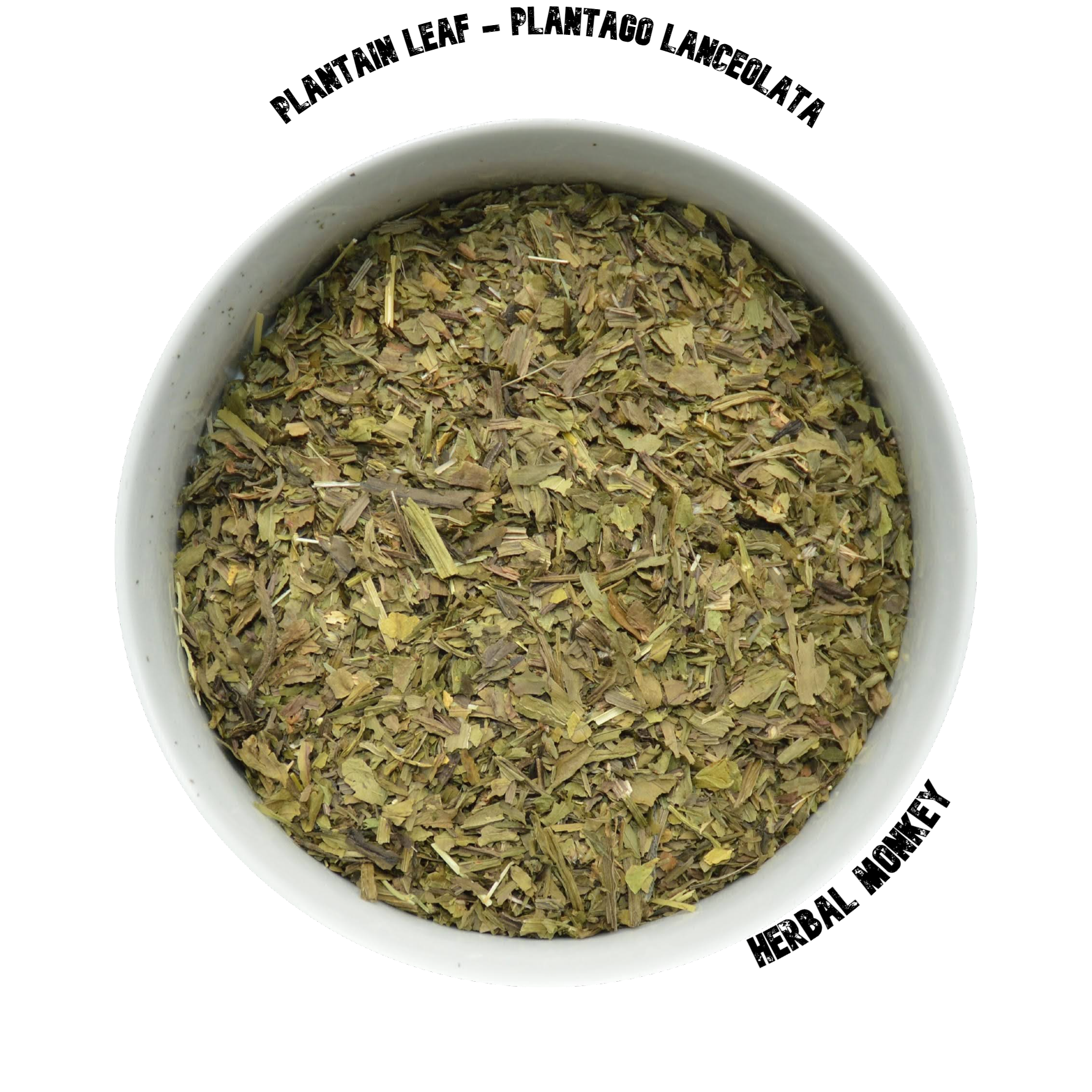 Plantain Leaf | Plantago Lanceolata | Premium Botanical | Plantain Tea