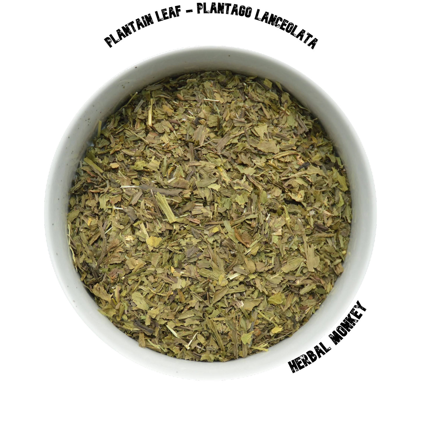 Plantain Leaf  | Plantago Lanceolata | Organic Plantain | Plantain Tea