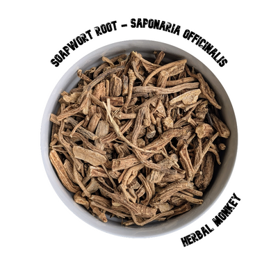 Soapwort Root – dried and shredded Saponaria officinalis root, loose-cut for herbal tea, topical use, and ceremonial cleansing