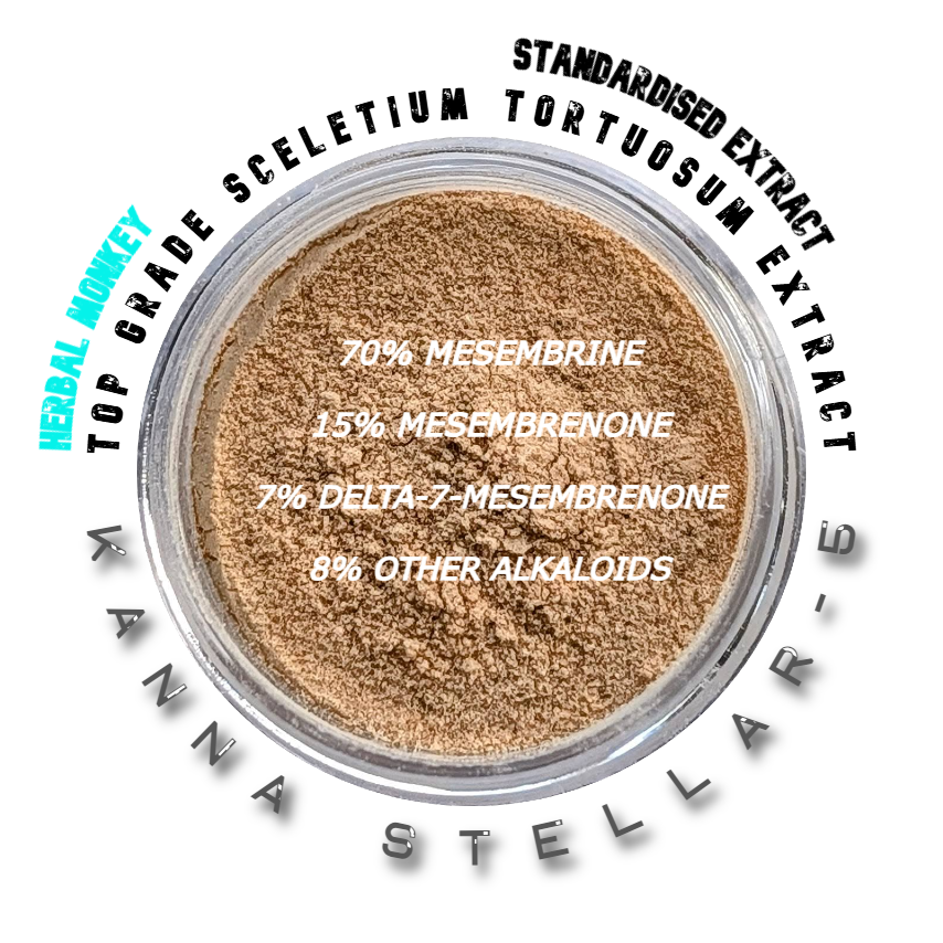 Kanna Stellar‑5 extract – ceremonial Sceletium tortuosum botanical for ritual display Herbal Monkey