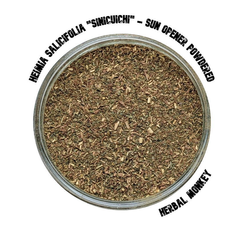 Sun Opener Herb – Natural Heimia salicifolia; ceremonial botanical for lucid dreaming, emotional clarity, and spiritual insight. Wild-harvested and sun-dried