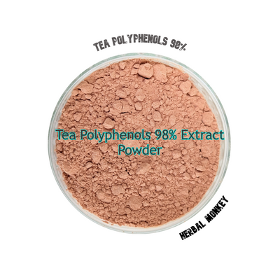 Tea Polyphenols 98% green tea extract powder in kraft pouch