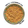Standardised Tongkat Ali — premium 3% Eurycomanone root extract in a resealable pouch Herbal Monkey