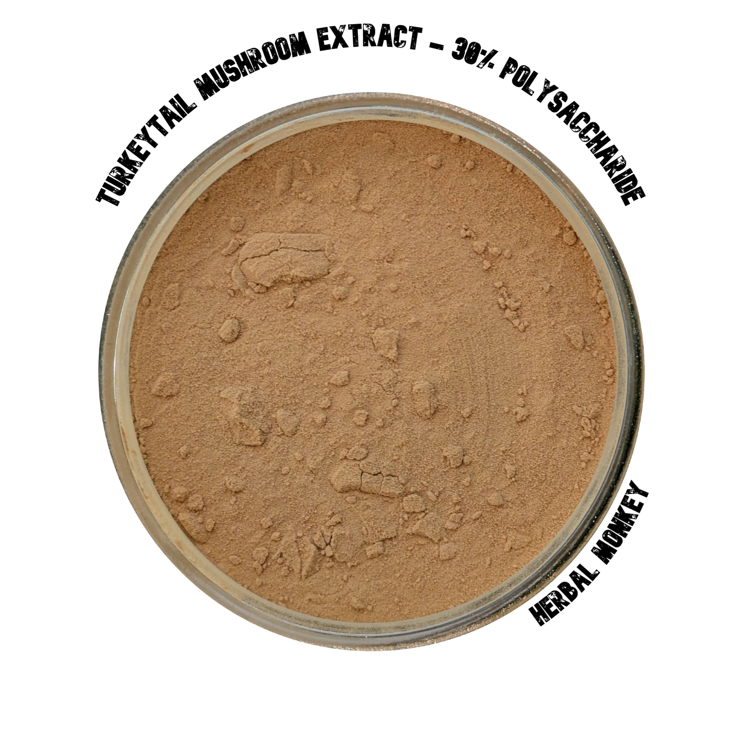 Turkey Tail mushroom extract powder – 30% polysaccharides for immune support, gut health, and antioxidant protection.