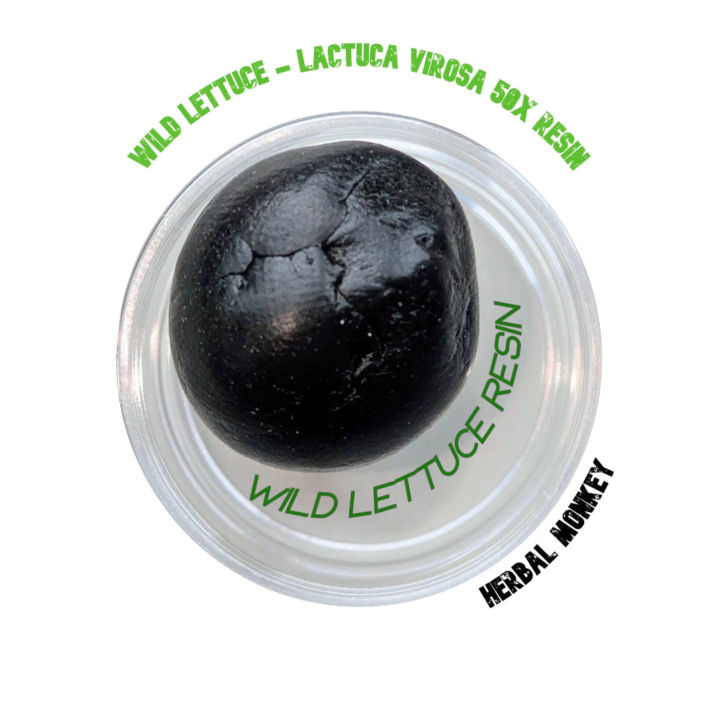 Wild Lettuce Resin 50X – Potent Lactuca virosa botanical for incense and spiritual ceremonies; used to promote calm atmosphere and meditative energy flow. Not for consumption.